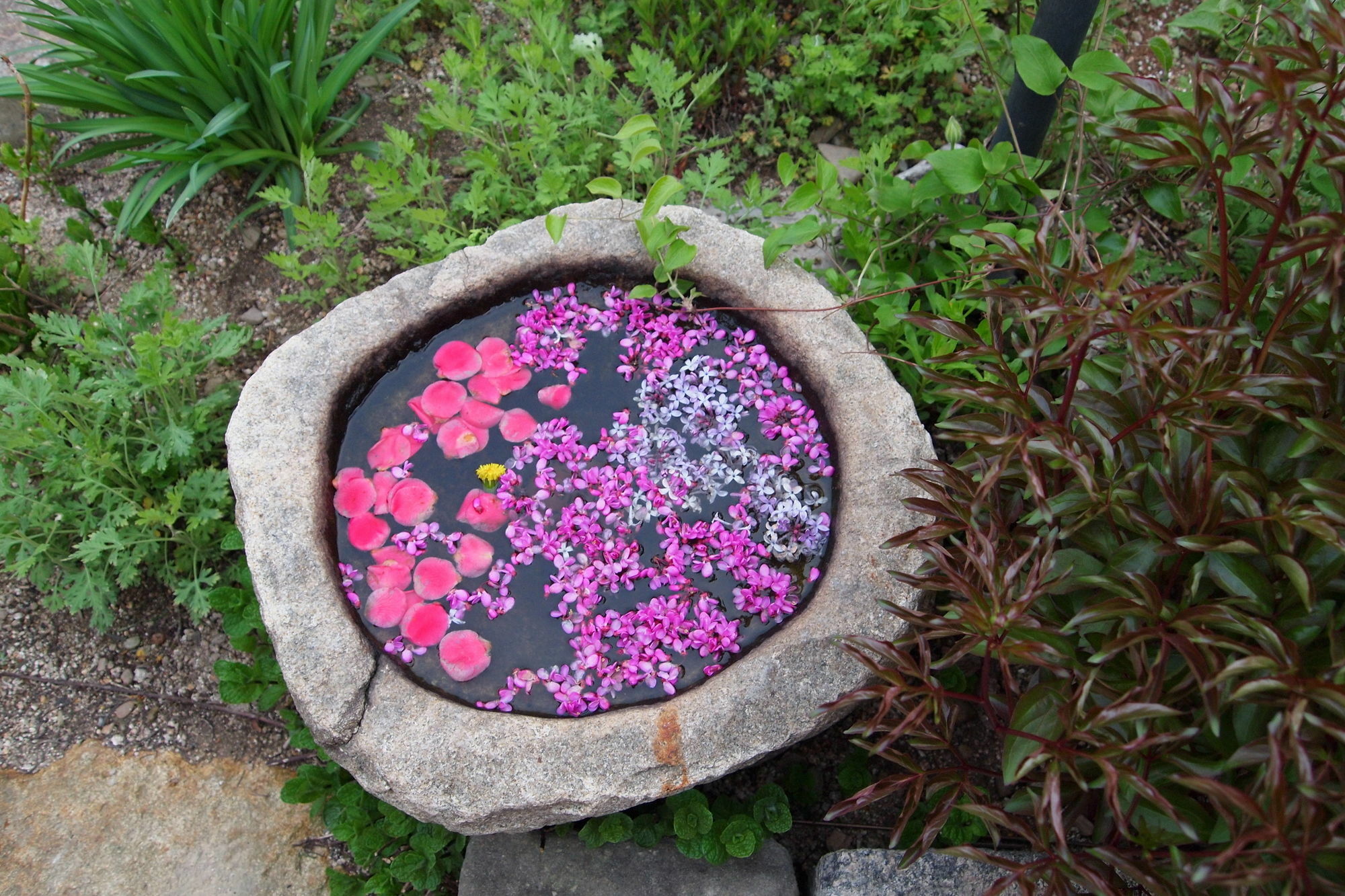 Floral Space Hanok Guesthouse Kjongdzsu Kültér fotó