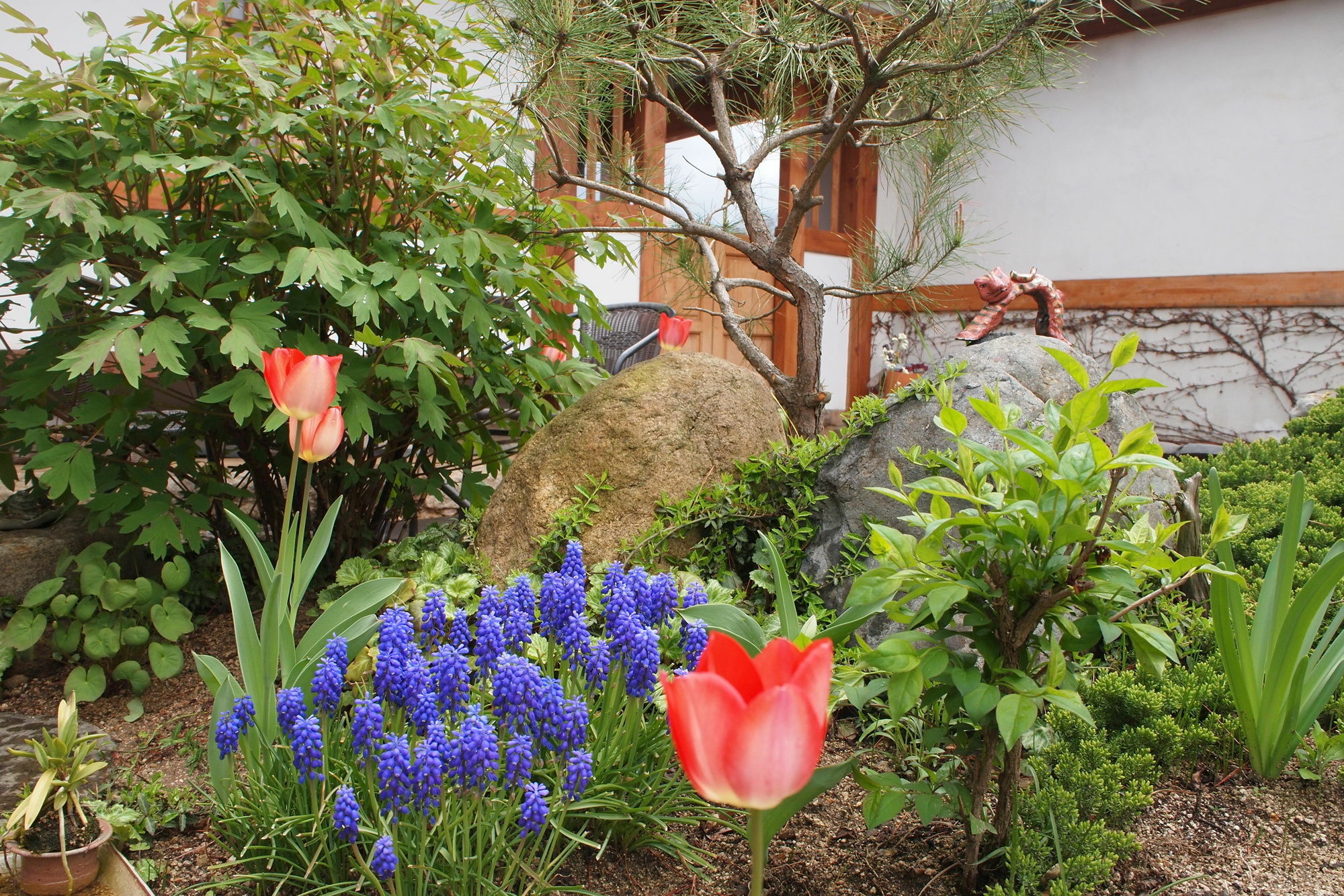 Floral Space Hanok Guesthouse Kjongdzsu Kültér fotó