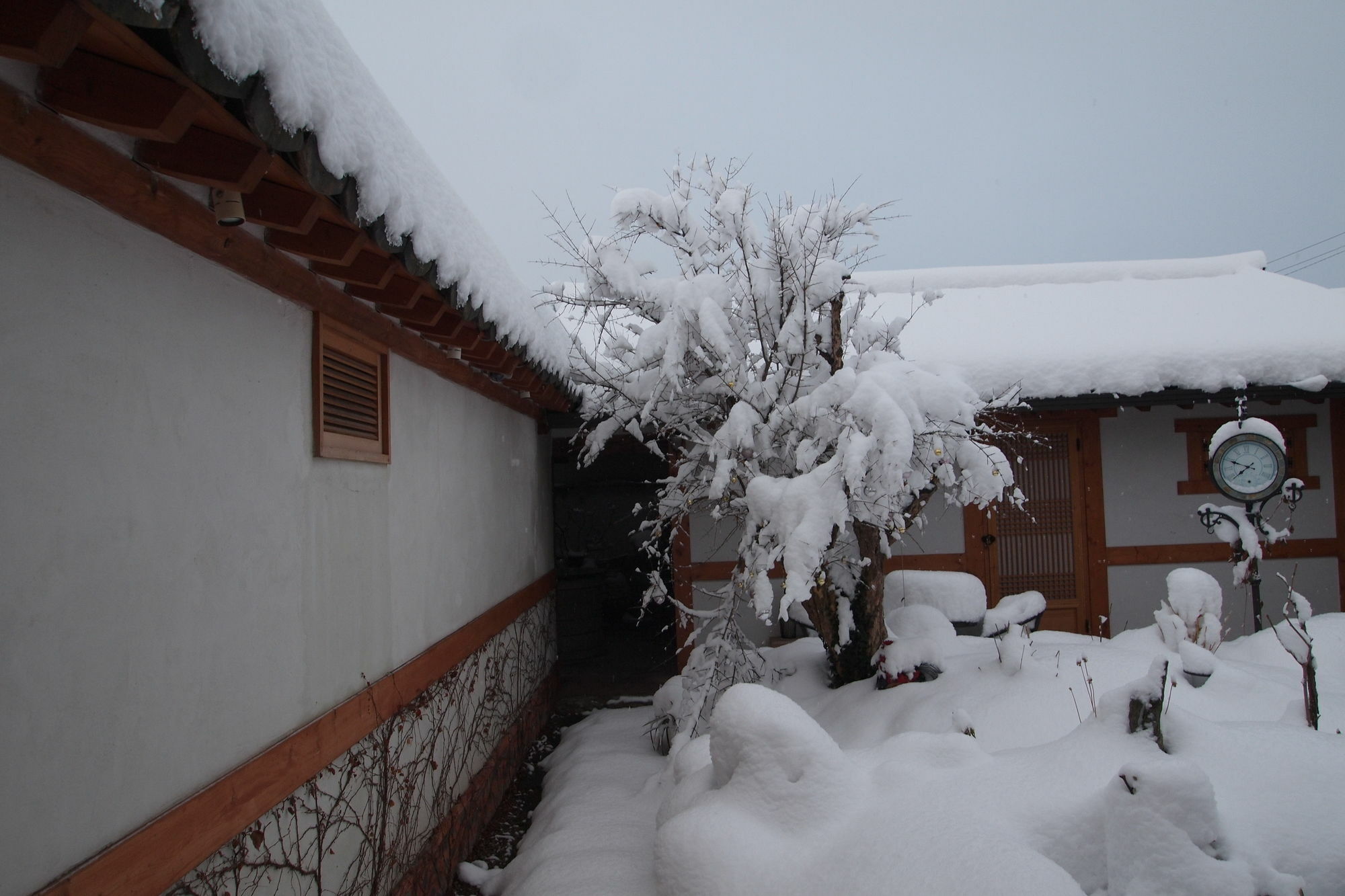 Floral Space Hanok Guesthouse Kjongdzsu Kültér fotó